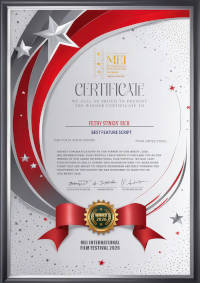 MEI festival nomination certificate